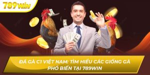 Đá Gà C1