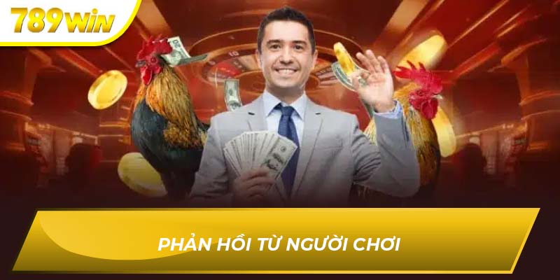 đá gà 789WIN