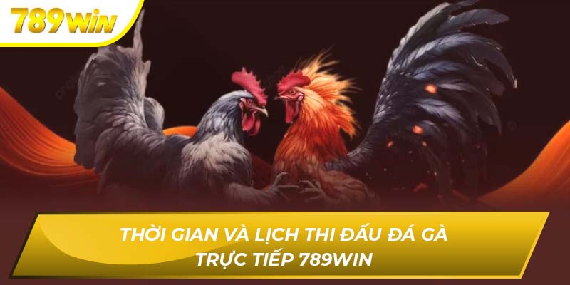 Thời gian và lịch thi đấu đá gà trực tiếp 789WIN